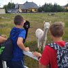 Borycz_149