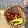 Piknik_2026_16